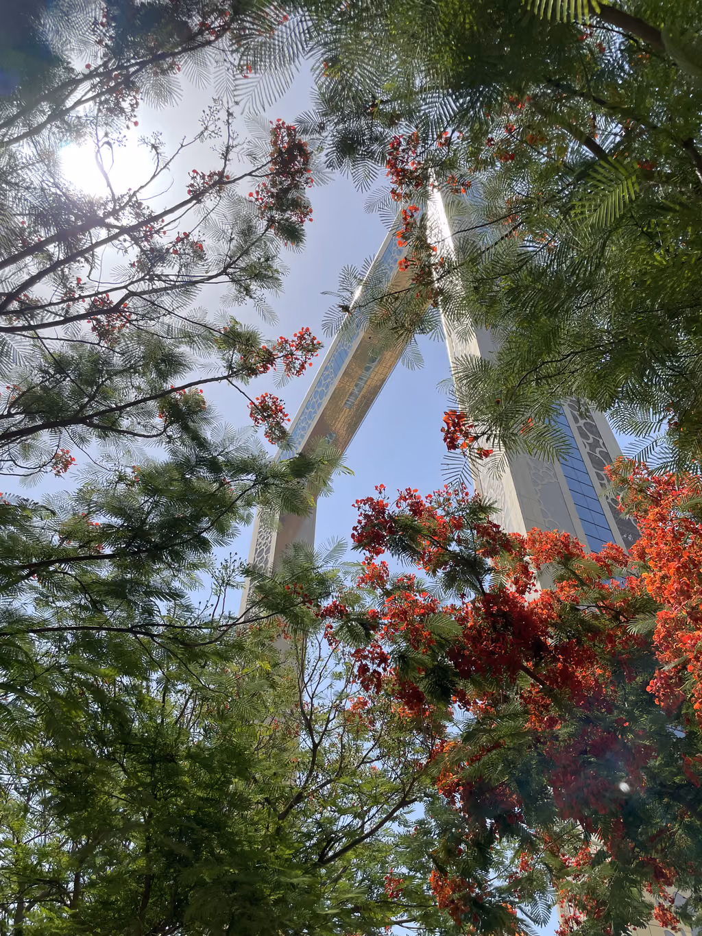 Low angle view of the Dubai Frame structure framed by blooming red flowers and green trees.