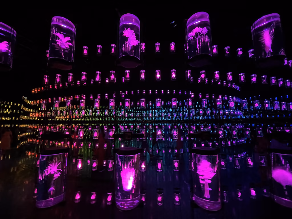 A dark exhibition room in Abu Dhabi filled with floating, glowing neon plant installations inside transparent capsules.