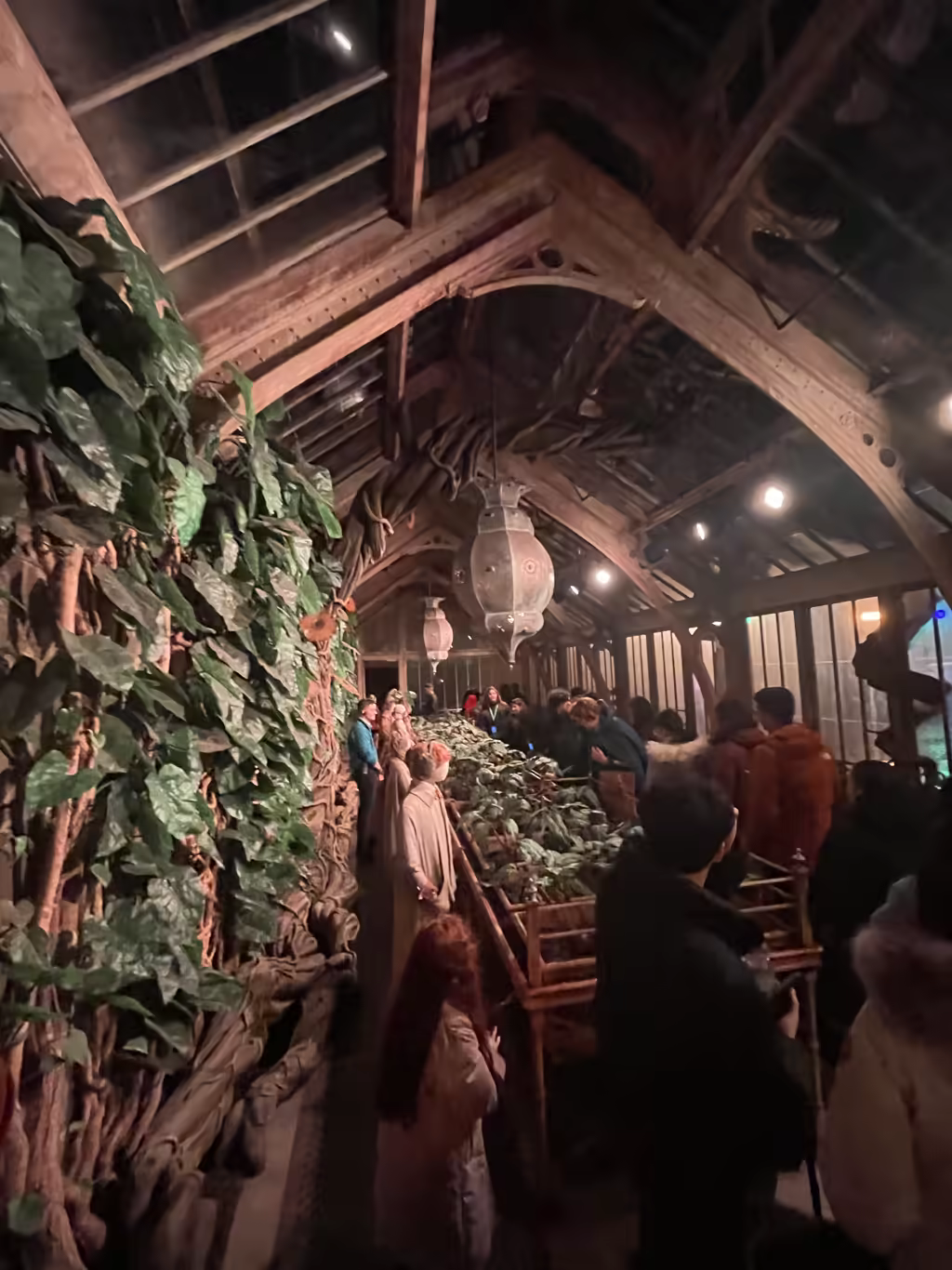 Step inside Professor Sprout's iconic greenhouse, complete with magical mandrakes ready for your family adventure.