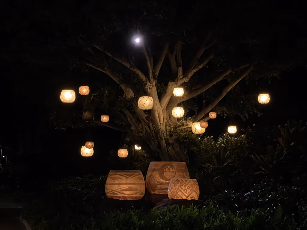 As night falls, Aulani’s massive banyan tree glows beautifully with suspended woven lanterns and light-up sculptures.