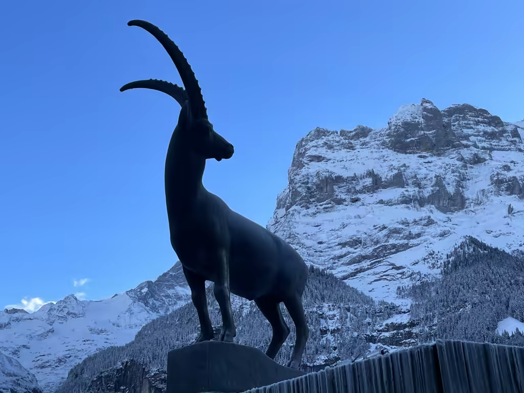 The iconic Alpine ibex statue stands proudly against the backdrop of snow-capped peaks in Grindelwald.