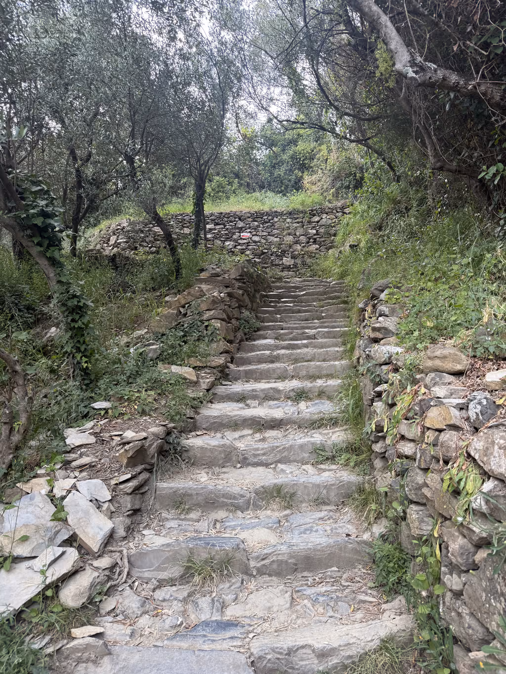 Stone staircase on the hiking trail between Corniglia and Vernazza in Cinque Terre, Italy.