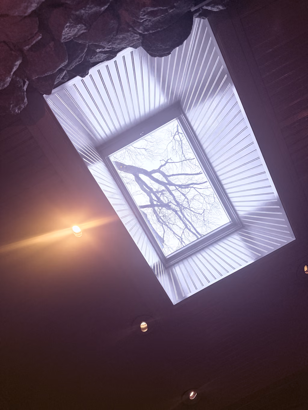 Gazing up through the North Block Hotel skylight at the serene, bare branches of Napa’s trees.