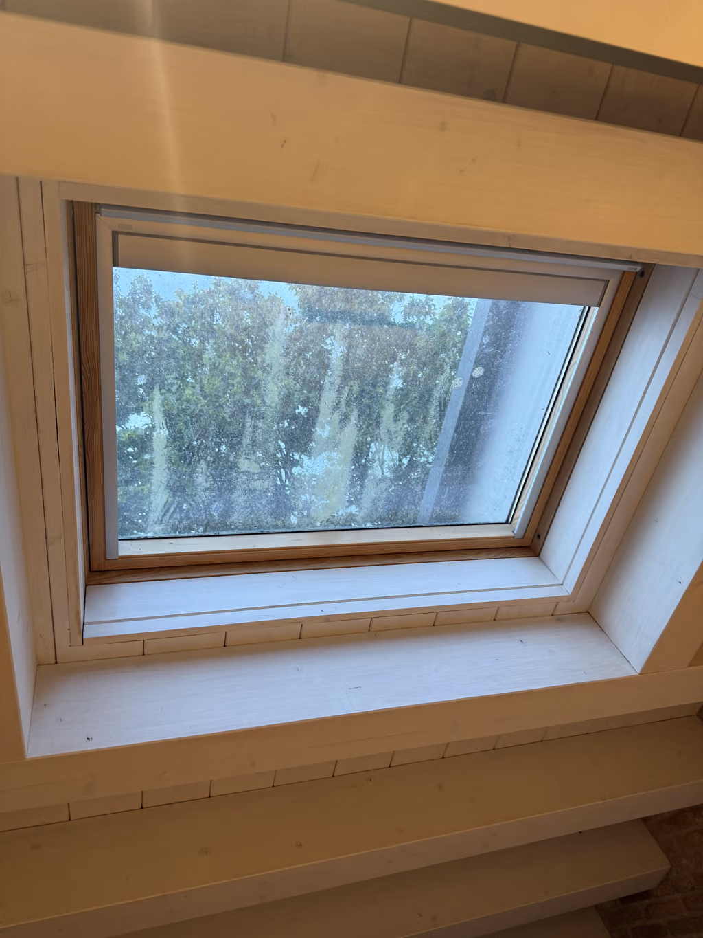 An angled view looking out through a skylight window at the NH Collection Venezia Murano Villa, revealing trees outside.