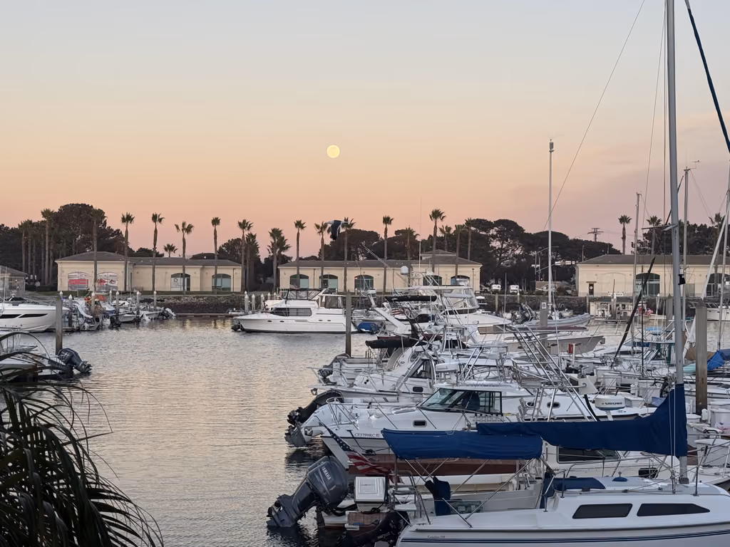 A scenic sunset view of boats docked at the San Diego Marriott Marquis marina with the moon visible in the pink sky.