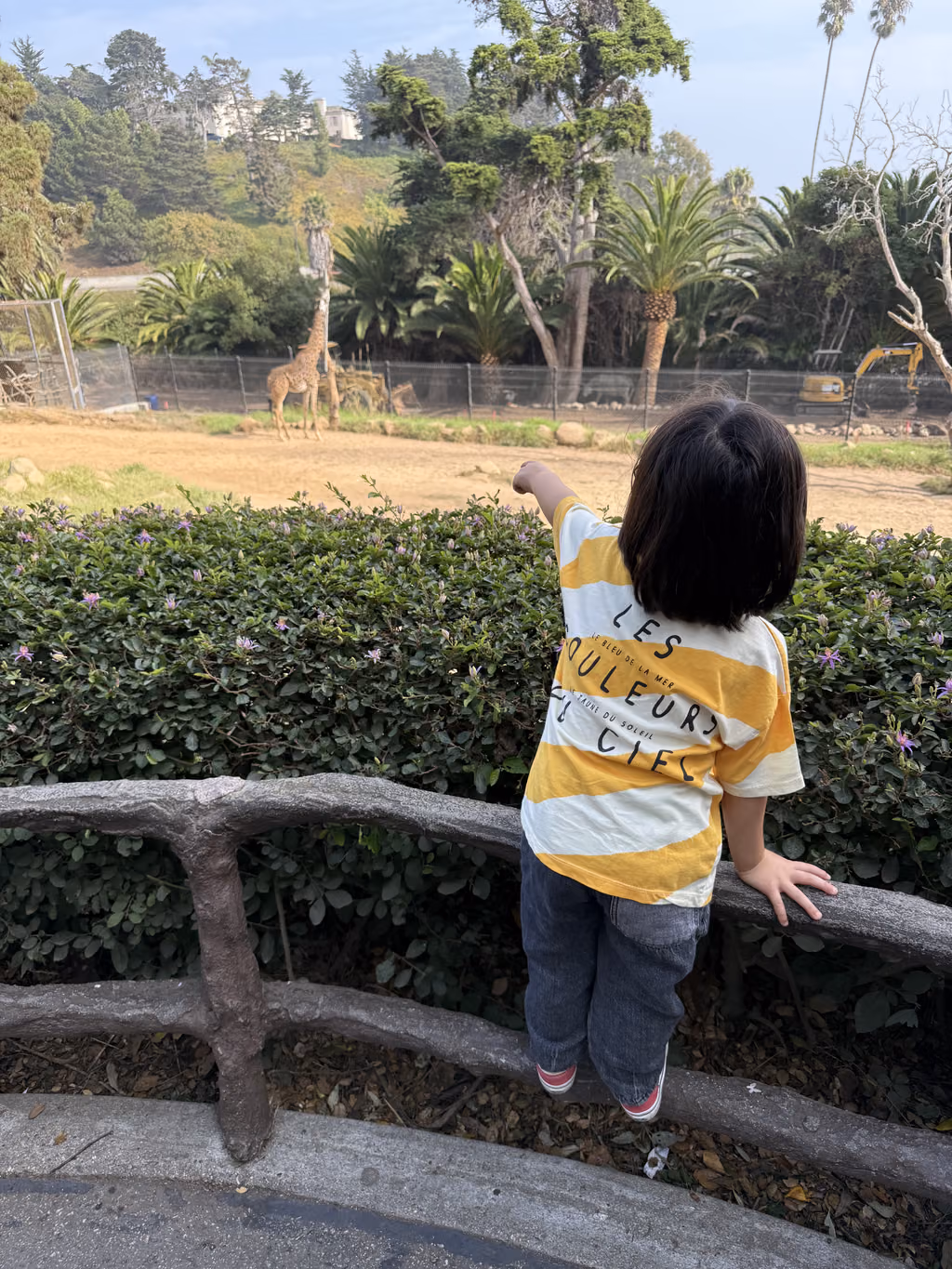 Little travelers love spotting giraffes at the Santa Barbara Zoo during their family-friendly luxury getaway.