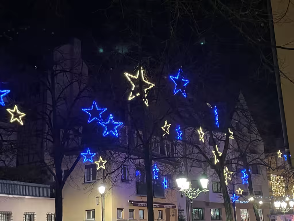 Christmas star-shaped street lights illuminate tree branches at night in Strasbourg, France.